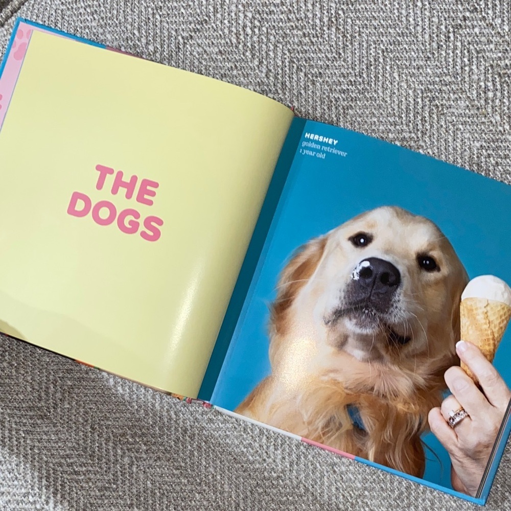 Dogs vs. Ice Cream Hardcover Book by Diana Lundin - Picture 2 of 6